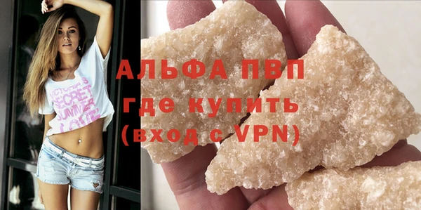 дживик Абаза