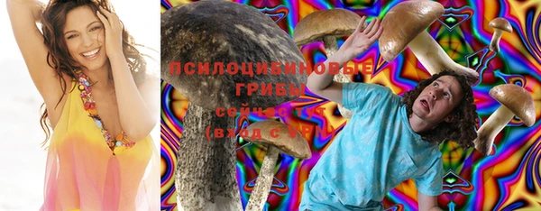первитин Абинск